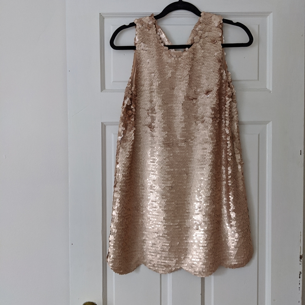 Rose Gold Sequin Dress